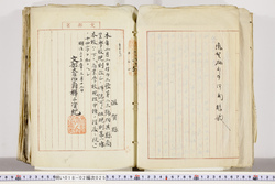 明い018020250030.jpg