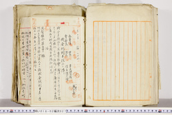 明い018020270008.jpg