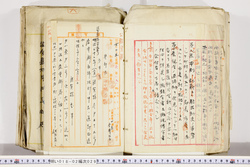 明い018020290002.jpg