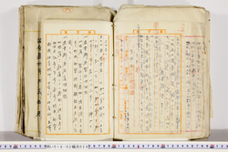 明い018020290003.jpg