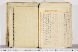明い018020290006.jpg