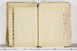 明い018020290008.jpg
