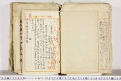 明い018020290016.jpg