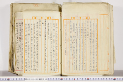 明い018020300003.jpg