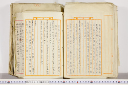 明い018020300004.jpg