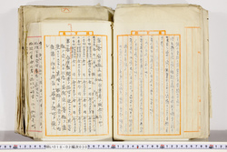 明い018020300005.jpg