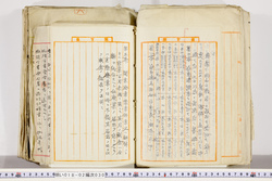 明い018020300006.jpg