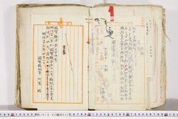 明い018020320003.jpg