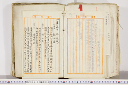 明い018020320004.jpg