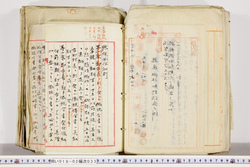 明い018020330002.jpg