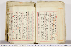 明い018020330003.jpg