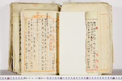 明い018020330004.jpg