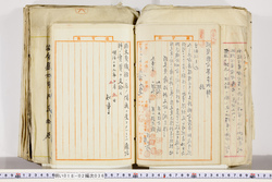 明い018020360002.jpg
