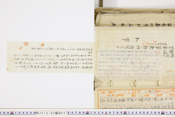 明い018020410004.jpg