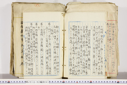 明い018020410017.jpg