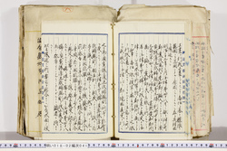 明い018020410028.jpg