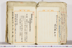 明い018020450003.jpg