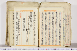 明い018020450007.jpg