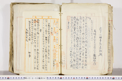 明い018020470006.jpg