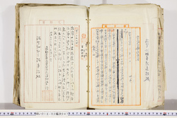 明い018020470009.jpg