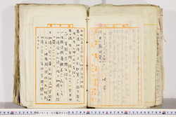 明い018020560003.jpg