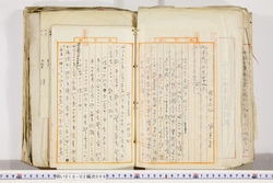 明い018020690003.jpg