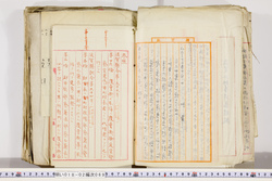 明い018020690005.jpg