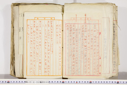 明い018020690006.jpg