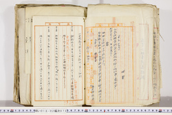 明い018020730002.jpg
