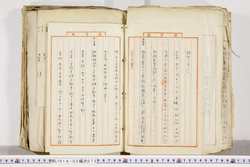 明い018020730005.jpg