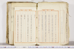 明い018020730006.jpg