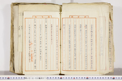 明い018020730007.jpg
