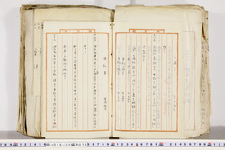 明い018020730009.jpg