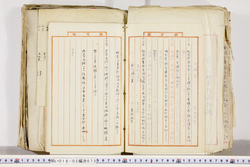 明い018020730010.jpg