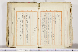 明い018020730012.jpg
