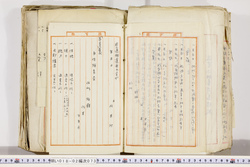 明い018020730013.jpg