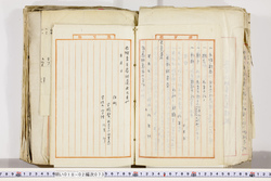 明い018020730014.jpg