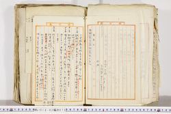 明い018020730015.jpg