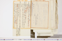 明い018020730016.jpg