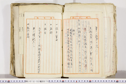 明い018020750003.jpg
