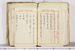 明い018020750006.jpg