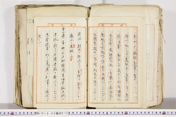 明い018020750014.jpg