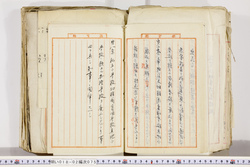 明い018020750015.jpg