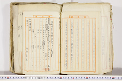 明い018020760010.jpg