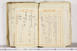 明い018020760014.jpg