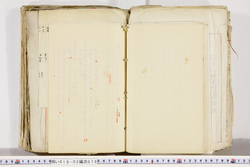 明い018020790005.jpg