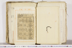 明い018020790011.jpg