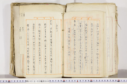 明い018020800003.jpg