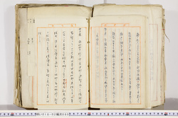 明い018020800004.jpg