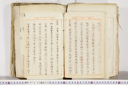 明い018020800005.jpg